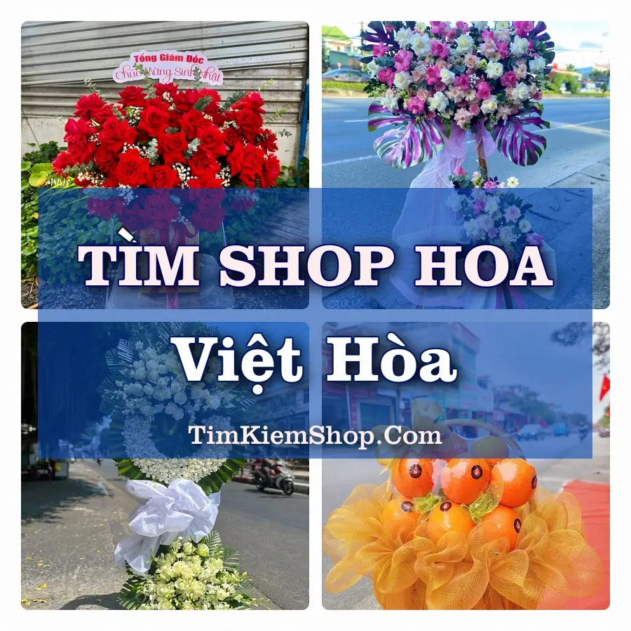 Tìm Shop Hoa Tươi Tại Phường Việt Hòa Hải Phòng