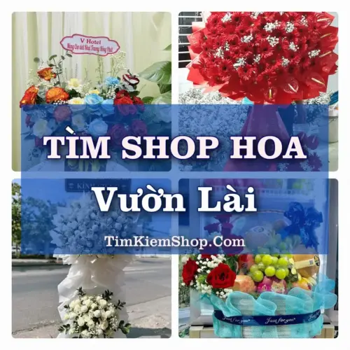 Tìm Shop Hoa Tươi Tại Phường Vườn Lài TP.HCM