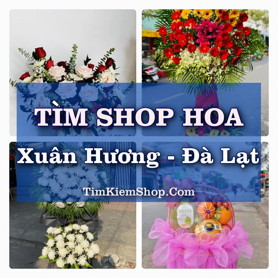Tìm Shop Hoa Tươi Tại Phường Xuân Hương – Đà Lạt Lâm Đồng