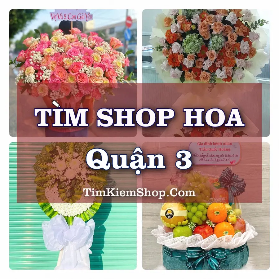 Tìm Shop Hoa Tươi tại Quận 3 (Cũ)