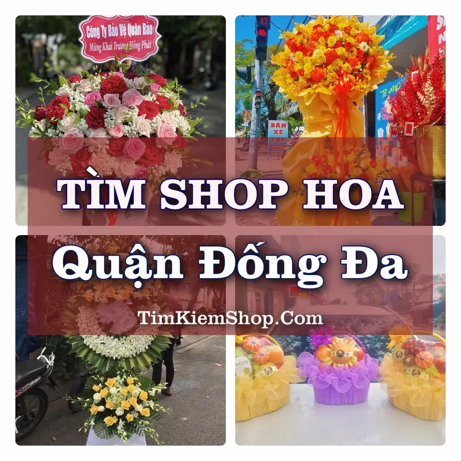 Tìm Shop Hoa Tươi tại Quận Đống Đa (Cũ)