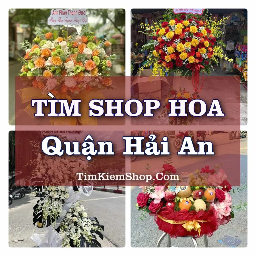 Tìm Shop Hoa Tươi tại Quận Hải An (Cũ)