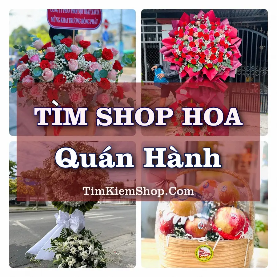 Tìm Shop Hoa Tươi tại Quán Hành, Tỉnh Nghệ An