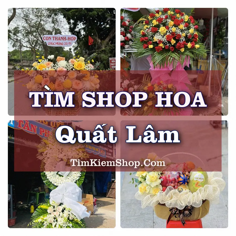 Tìm Shop Hoa Tươi tại Quất Lâm, Tỉnh Ninh Bình