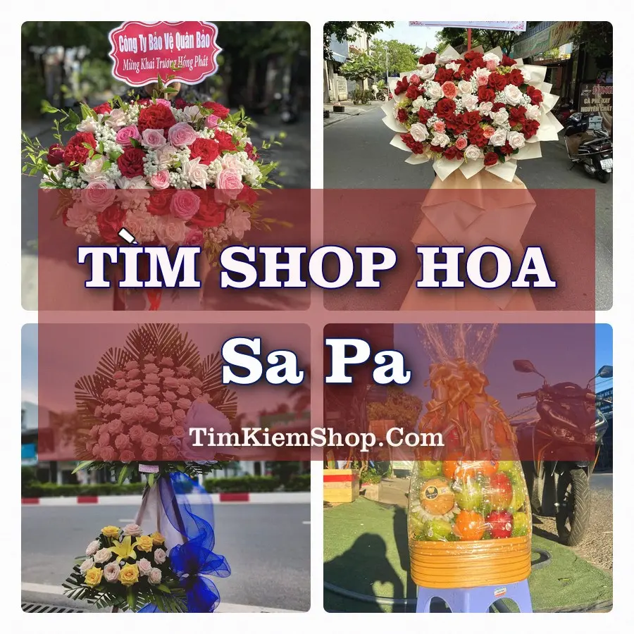 Tìm Shop Hoa Tươi tại Sa Pa (Cũ)