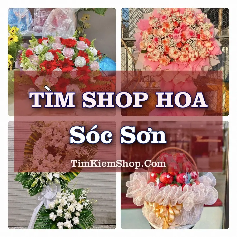Tìm Shop Hoa Tươi tại Sóc Sơn (Cũ)
