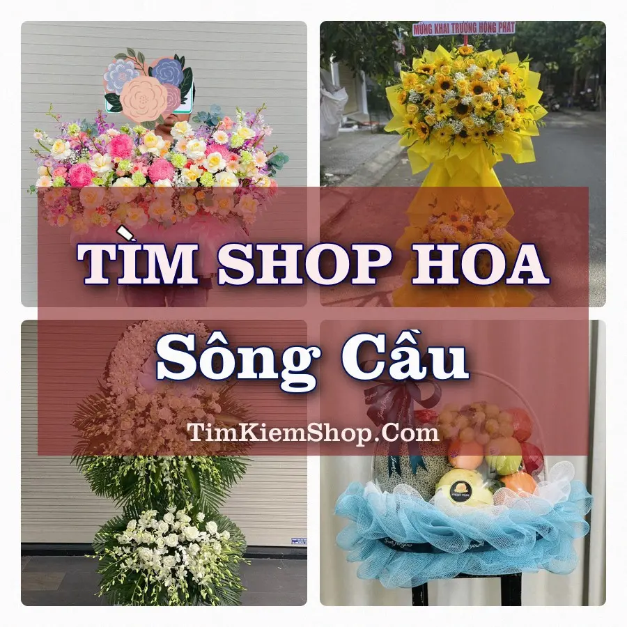 Tìm Shop Hoa Tươi tại Sông Cầu (Cũ)
