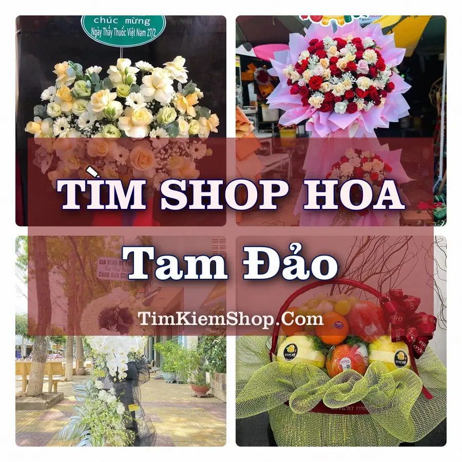 Tìm Shop Hoa Tươi tại Tam Đảo, Tỉnh Phú Thọ