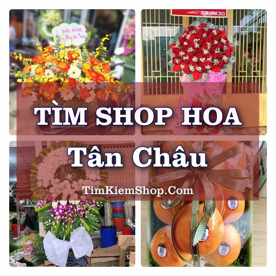 Tìm Shop Hoa Tươi tại Tân Châu (Cũ)