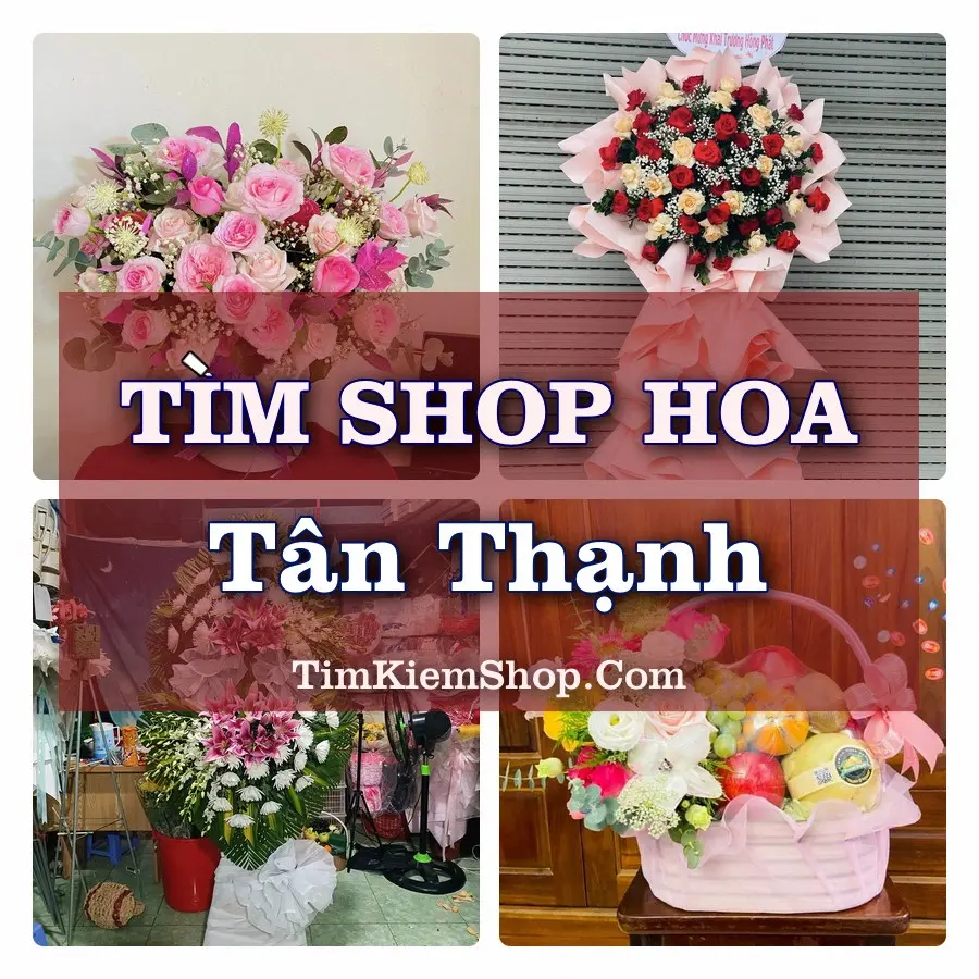Tìm Shop Hoa Tươi tại Tân Thạnh (Cũ)
