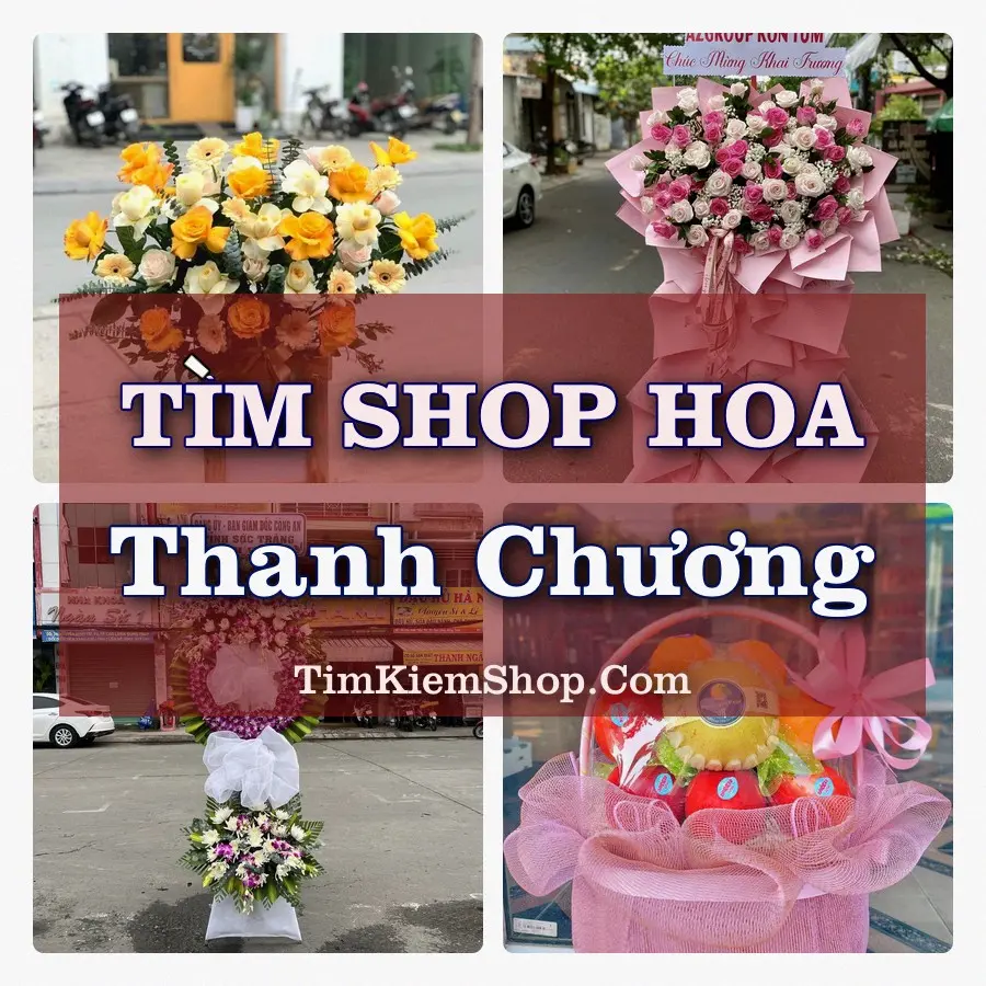Tìm Shop Hoa Tươi tại Thanh Chương, Tỉnh Nghệ An