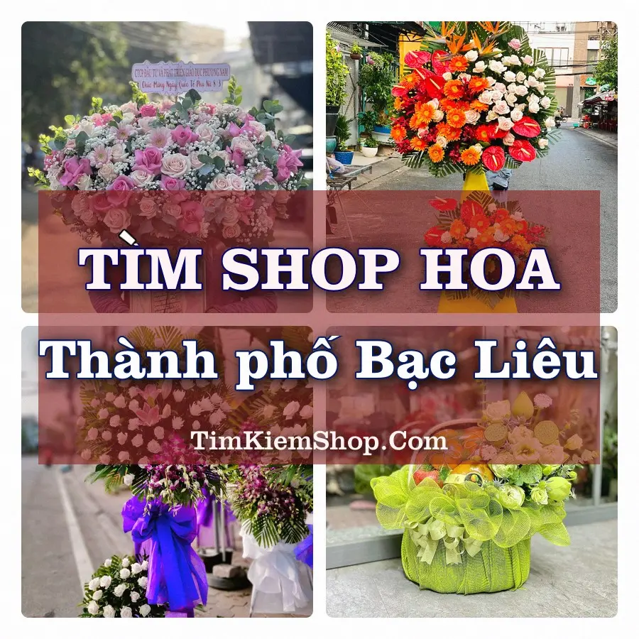 Tìm Shop Hoa Tươi tại Thành phố Bạc Liêu (Cũ)