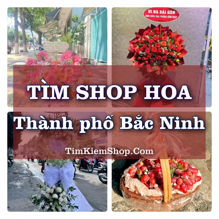Tìm Shop Hoa Tươi tại Thành phố Bắc Ninh (Cũ)