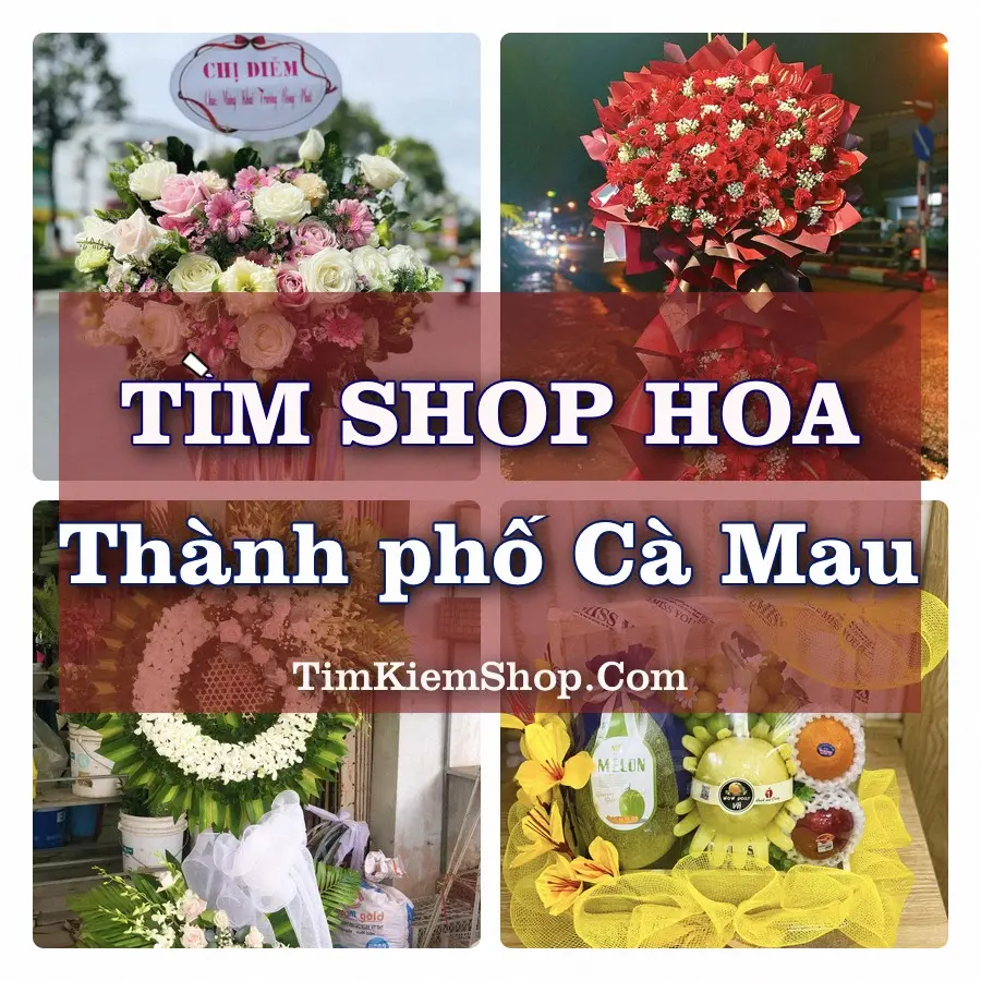 Tìm Shop Hoa Tươi tại Thành phố Cà Mau (Cũ)