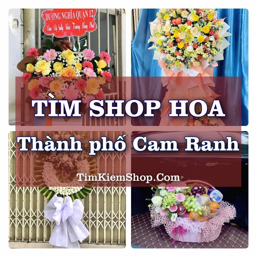 Tìm Shop Hoa Tươi tại Thành phố Cam Ranh (Cũ)