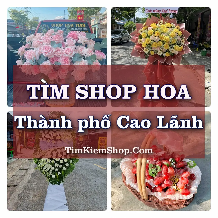 Tìm Shop Hoa Tươi tại Thành phố Cao Lãnh (Cũ)