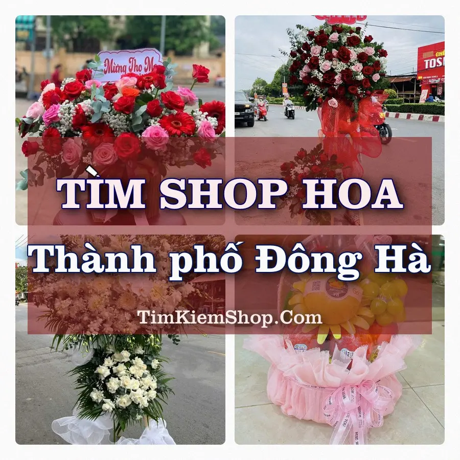 Tìm Shop Hoa Tươi tại Thành phố Đông Hà (Cũ)