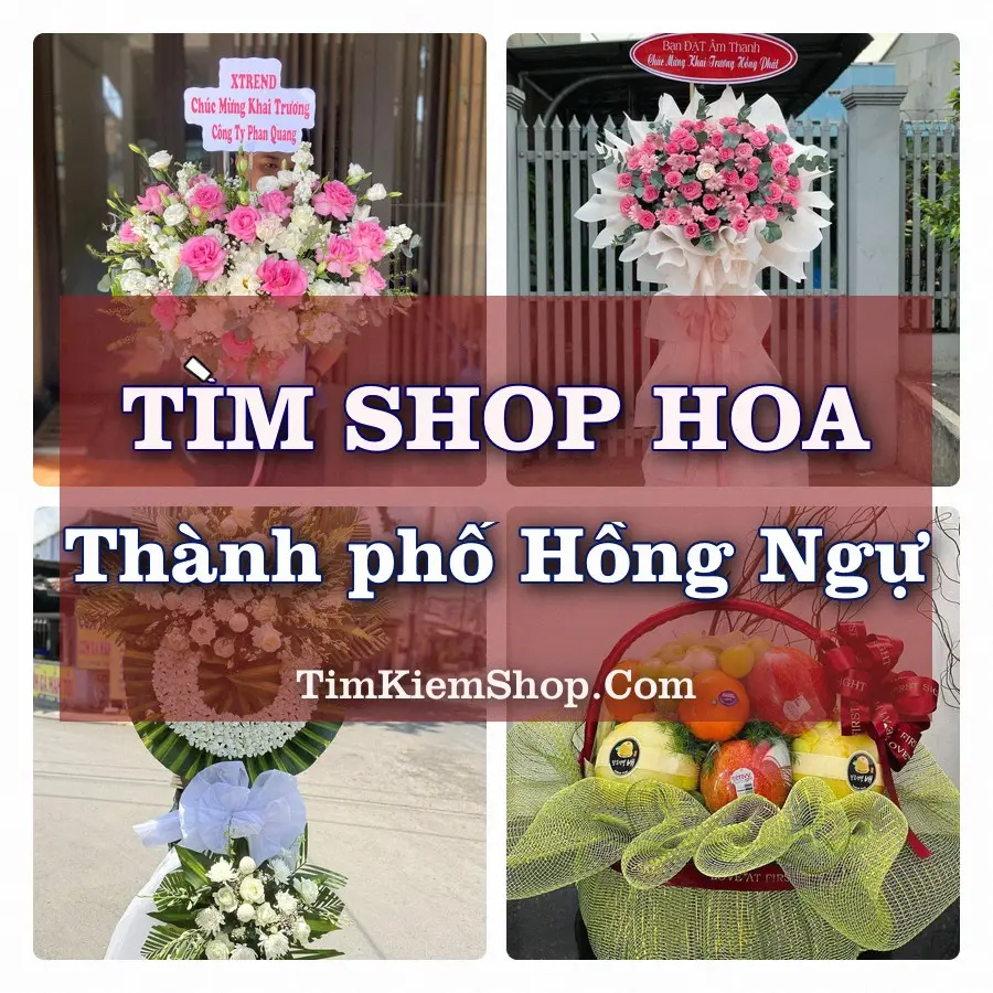 Tìm Shop Hoa Tươi tại Thành phố Hồng Ngự (Cũ)