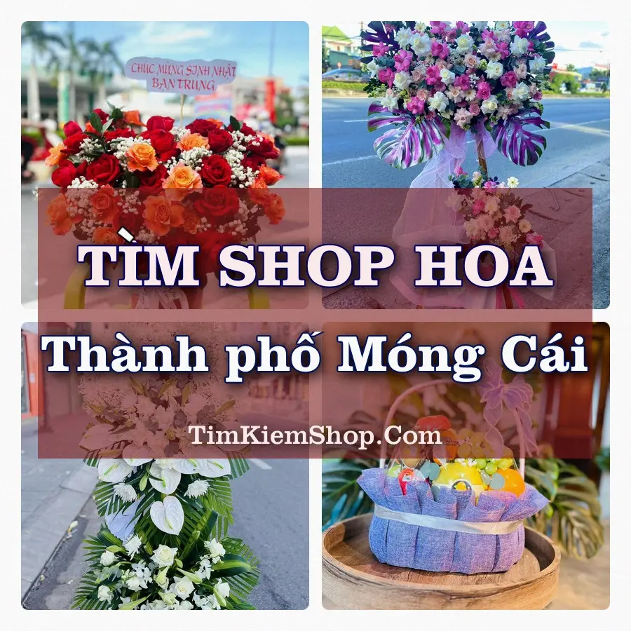 Tìm Shop Hoa Tươi tại Thành phố Móng Cái (Cũ)