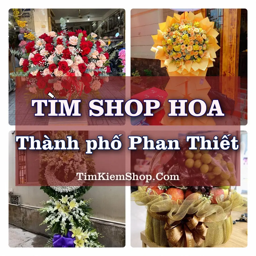 Tìm Shop Hoa Tươi tại Thành phố Phan Thiết (Cũ)