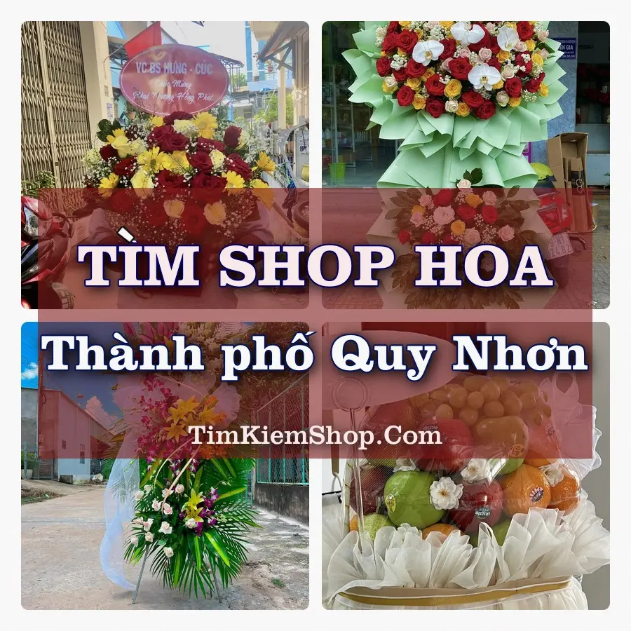 Tìm Shop Hoa Tươi tại Thành phố Quy Nhơn (Cũ)