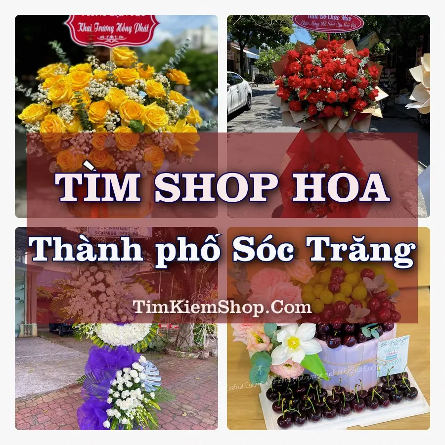 Tìm Shop Hoa Tươi tại Thành phố Sóc Trăng (Cũ)