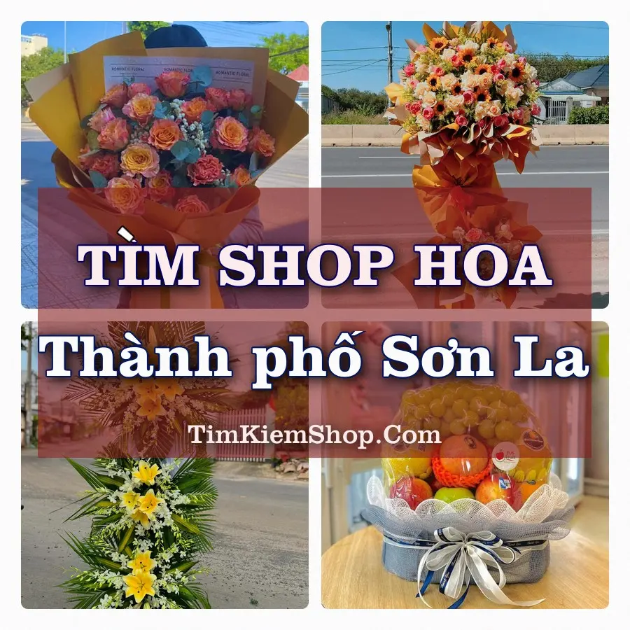 Tìm Shop Hoa Tươi tại Thành phố Sơn La (Cũ)