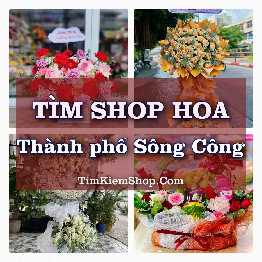 Tìm Shop Hoa Tươi tại Thành phố Sông Công (Cũ)