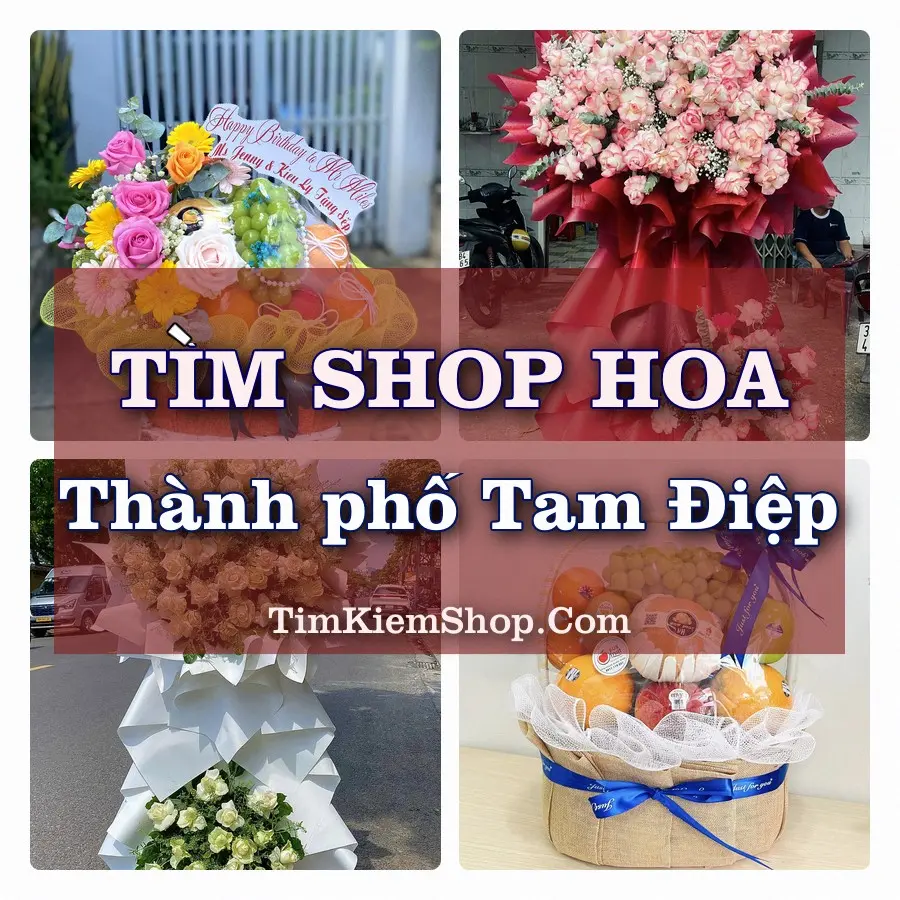 Tìm Shop Hoa Tươi tại Thành phố Tam Điệp (Cũ)