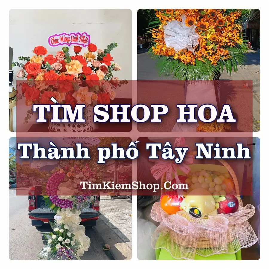 Tìm Shop Hoa Tươi tại Thành phố Tây Ninh (Cũ)