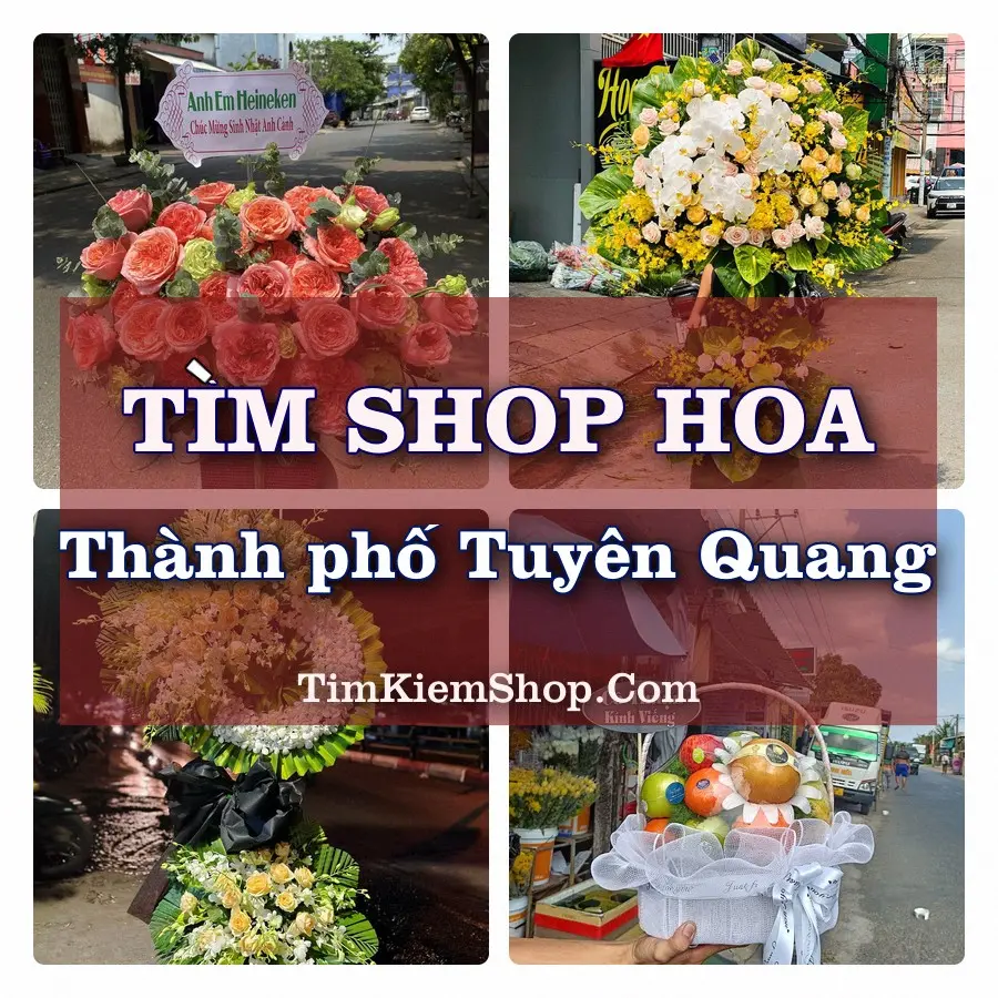Tìm Shop Hoa Tươi tại Thành phố Tuyên Quang (Cũ)