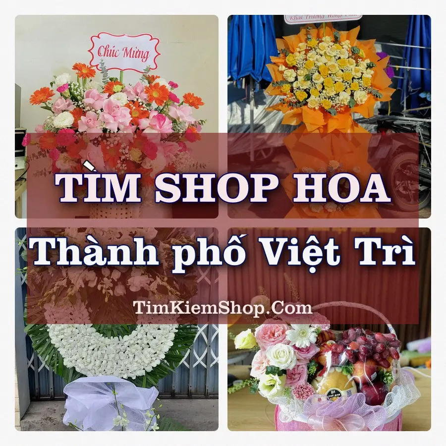 Tìm Shop Hoa Tươi tại Thành phố Việt Trì (Cũ)