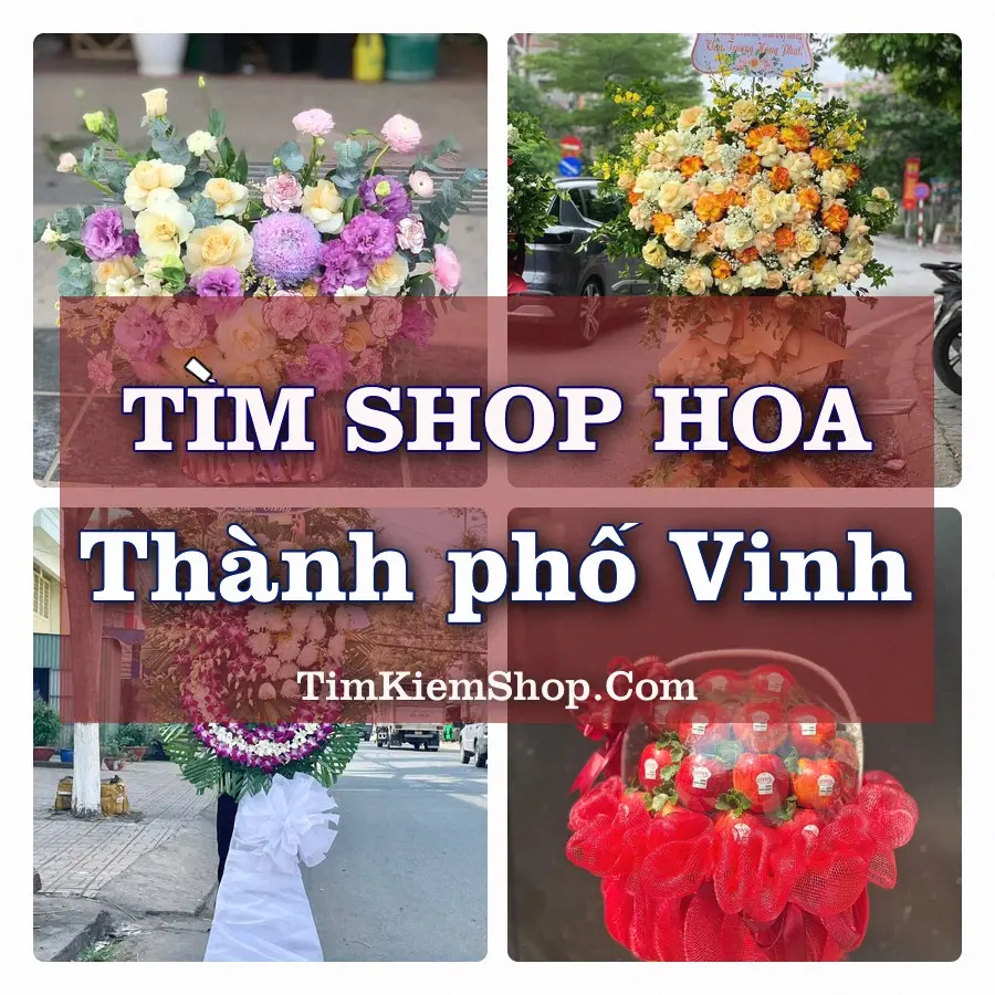 Tìm Shop Hoa Tươi tại Thành phố Vinh (Cũ)