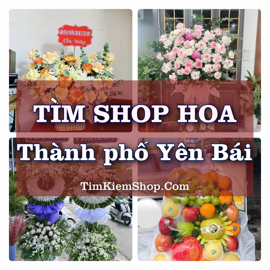 Tìm Shop Hoa Tươi tại Thành phố Yên Bái (Cũ)