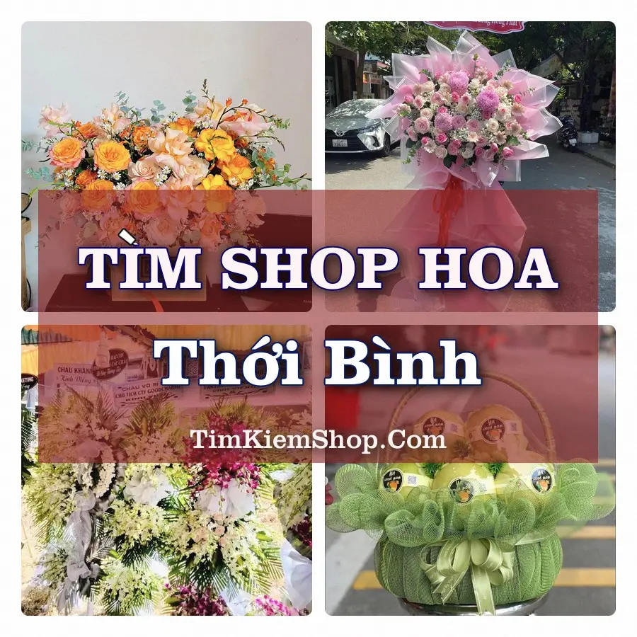 Tìm Shop Hoa Tươi tại Thới Bình (Cũ)