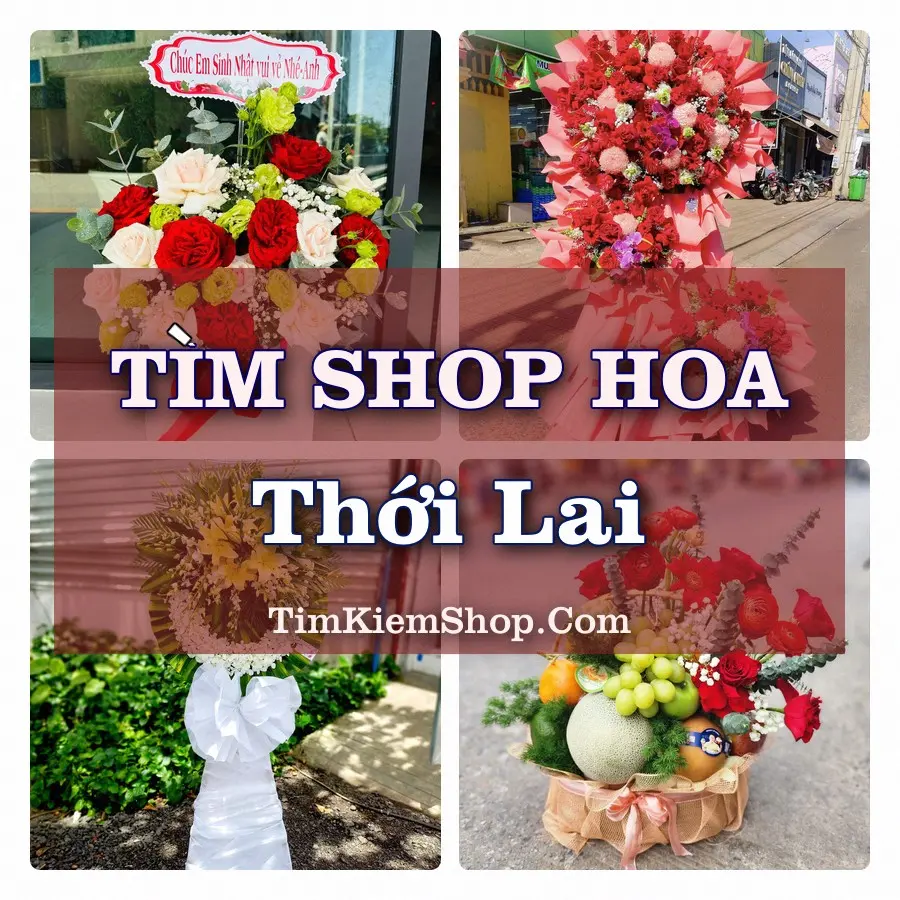 Tìm Shop Hoa Tươi tại Thới Lai (Cũ)