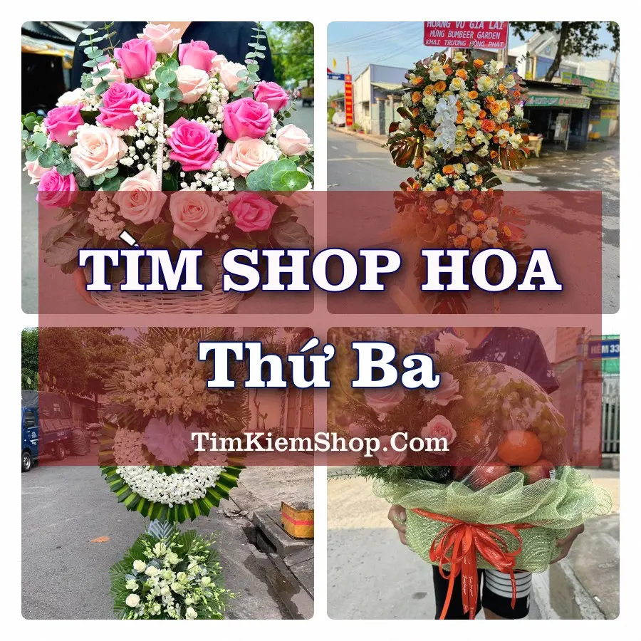 Tìm Shop Hoa Tươi tại Thứ Ba (Cũ)