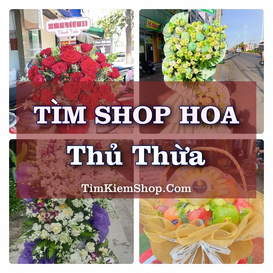 Tìm Shop Hoa Tươi tại Thủ Thừa (Cũ)
