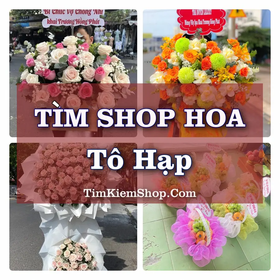 Tìm Shop Hoa Tươi tại Tô Hạp, Tỉnh Khánh Hòa