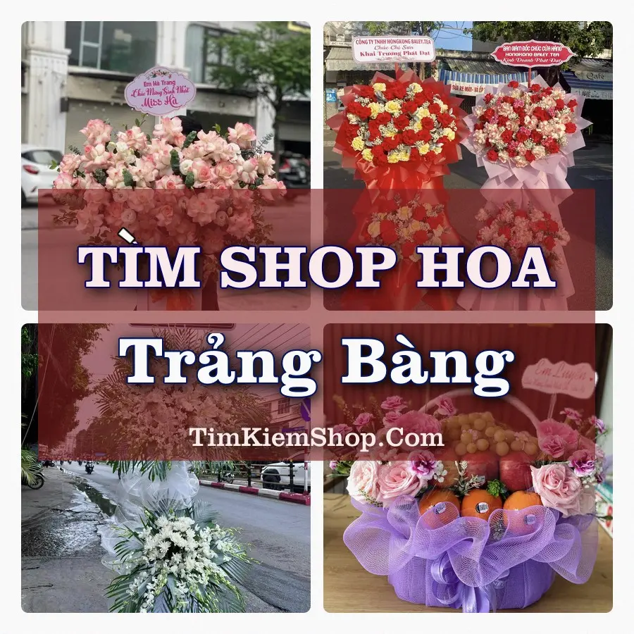 Tìm Shop Hoa Tươi tại Trảng Bàng (Cũ)