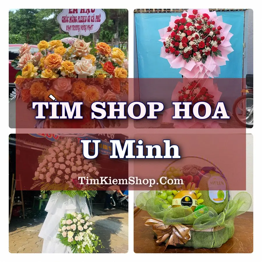Tìm Shop Hoa Tươi tại U Minh (Cũ)