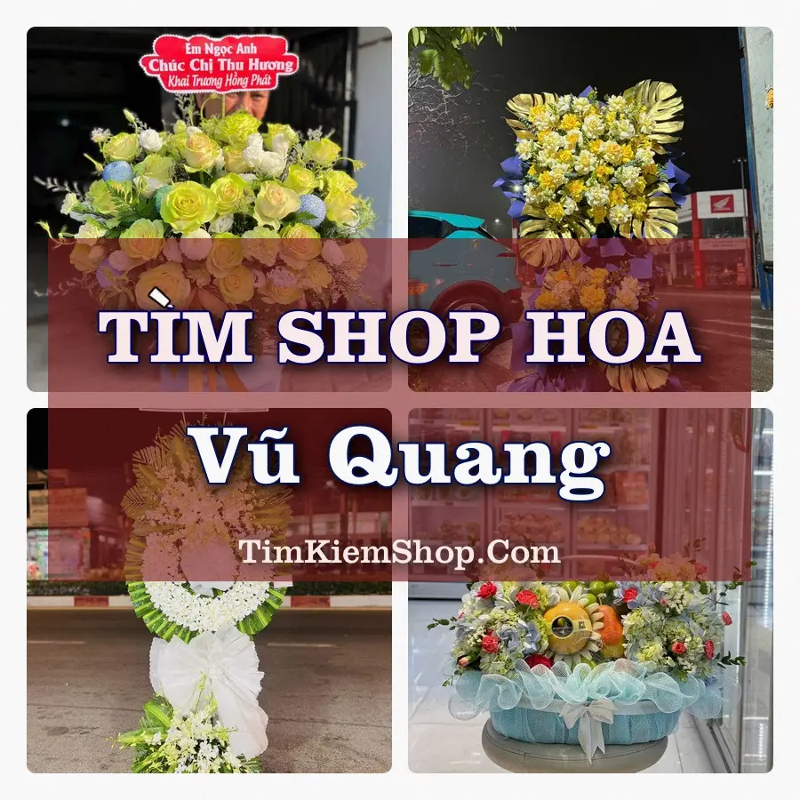 Tìm Shop Hoa Tươi tại Vũ Quang, Tỉnh Hà Tĩnh