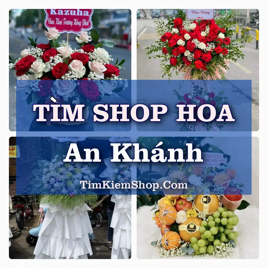 Tìm Shop Hoa Tươi Tại Xã An Khánh Hải Phòng