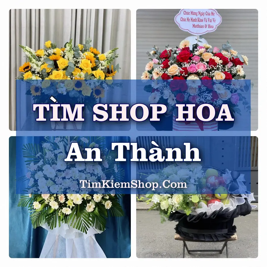 Tìm Shop Hoa Tươi Tại Xã An Thành Hải Phòng