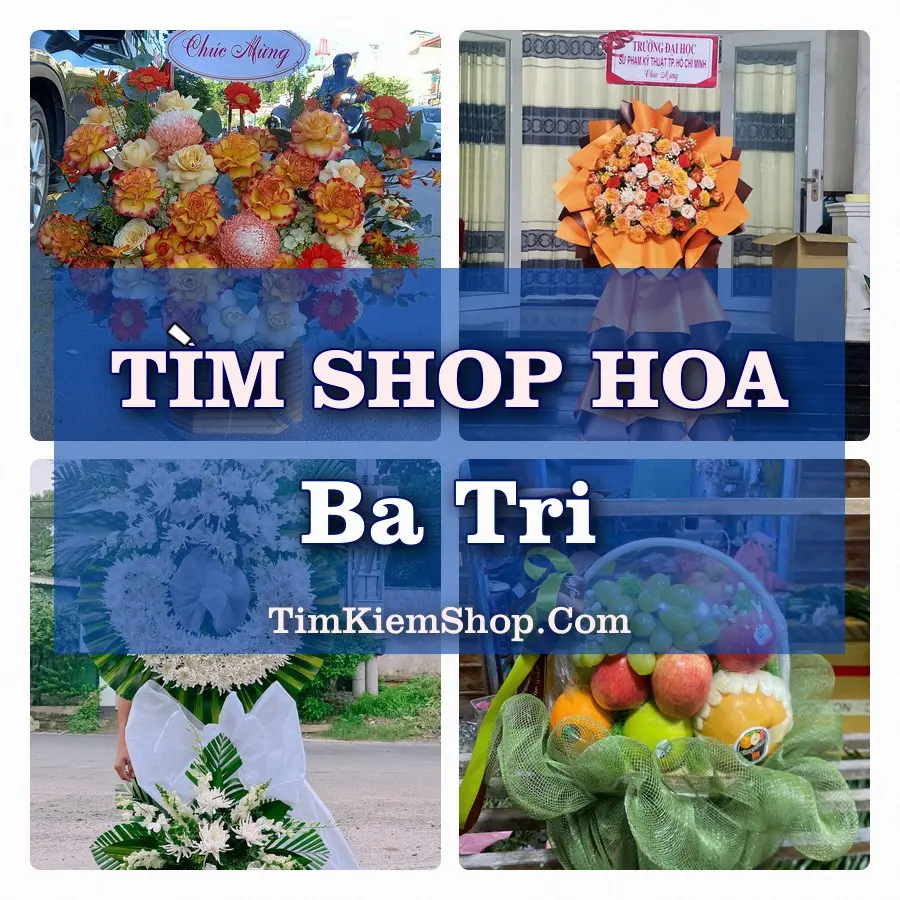 Tìm Shop Hoa Tươi Tại Xã Ba Tri Vĩnh Long