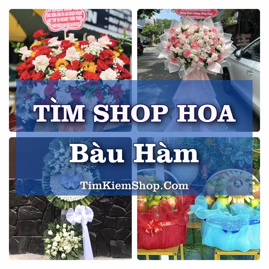 Tìm Shop Hoa Tươi Tại Xã Bàu Hàm Đồng Nai
