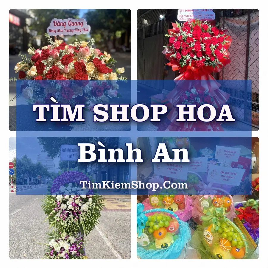 Tìm Shop Hoa Tươi Tại Xã Bình An An Giang