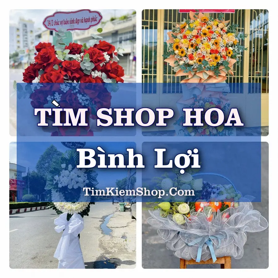 Tìm Shop Hoa Tươi Tại Xã Bình Lợi TP.HCM