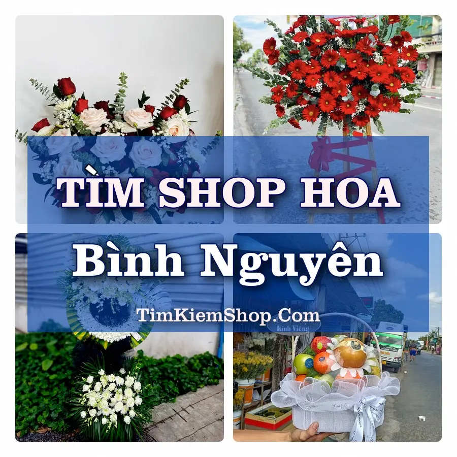 Tìm Shop Hoa Tươi Tại Xã Bình Nguyên Phú Thọ