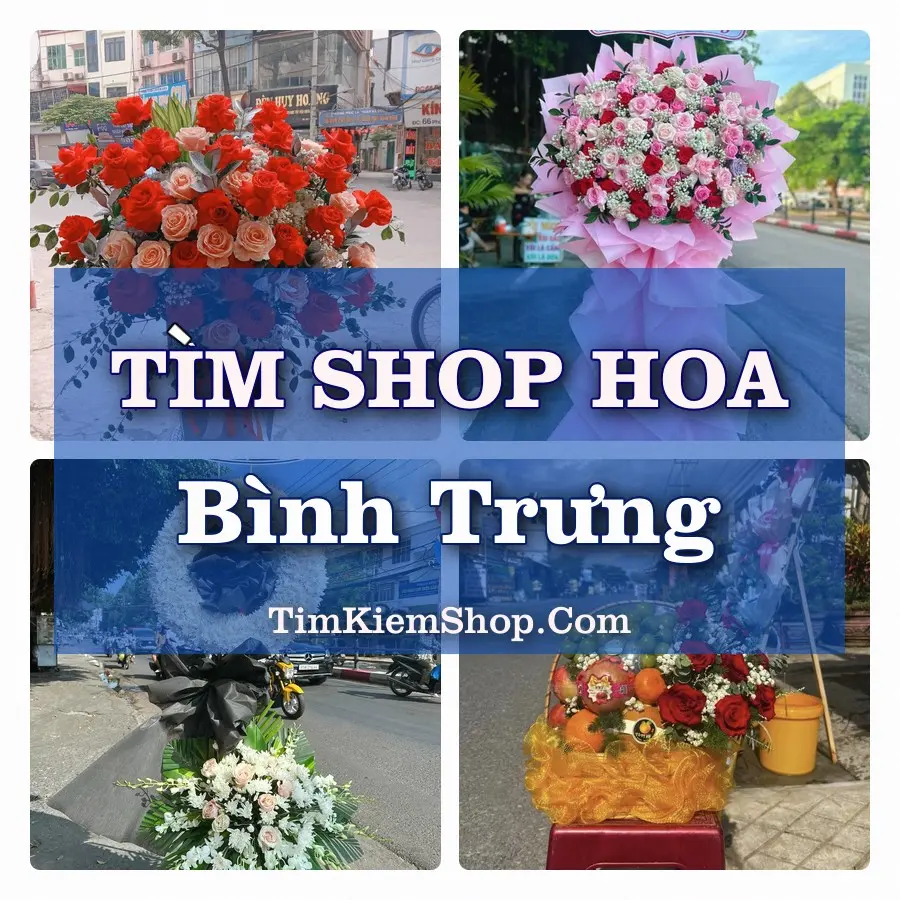 Tìm Shop Hoa Tươi Tại Xã Bình Trưng Đồng Tháp